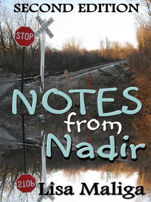 cover image of Notes from Nadir